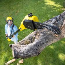 Best Tree Removal  in Strasburg, VA